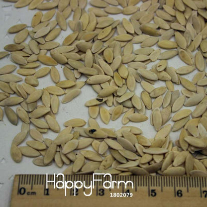 Cucumber Seeds for Planting - Multiple Varieties, Perfect for Balcony, Courtyard & Bonsai | Non-GMO Vegetable & Fruit Seeds