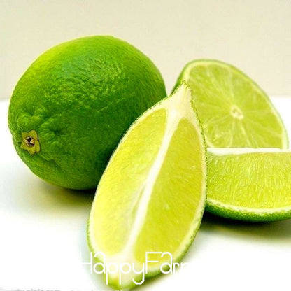 Green Lemon Seeds for Planting - Fresh Fruit, Garden & Bonsai Tree Seeds