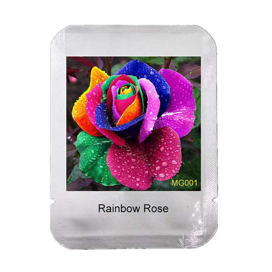 Rare Holland Rainbow Rose Seeds - Colorful Flower Seeds for Home Garden - Professional Pack
