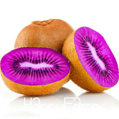 Mini Kiwi Seeds - Grow Delicious Fruit Trees & Beautiful Bonsai Plants - Actinidia Potted Plant Seeds