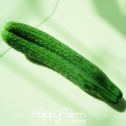 Jade Cucumber Seeds - Fresh, Crispy Cucumis for Garden, Balcony & Bonsai | Non-GMO, Easy Grow