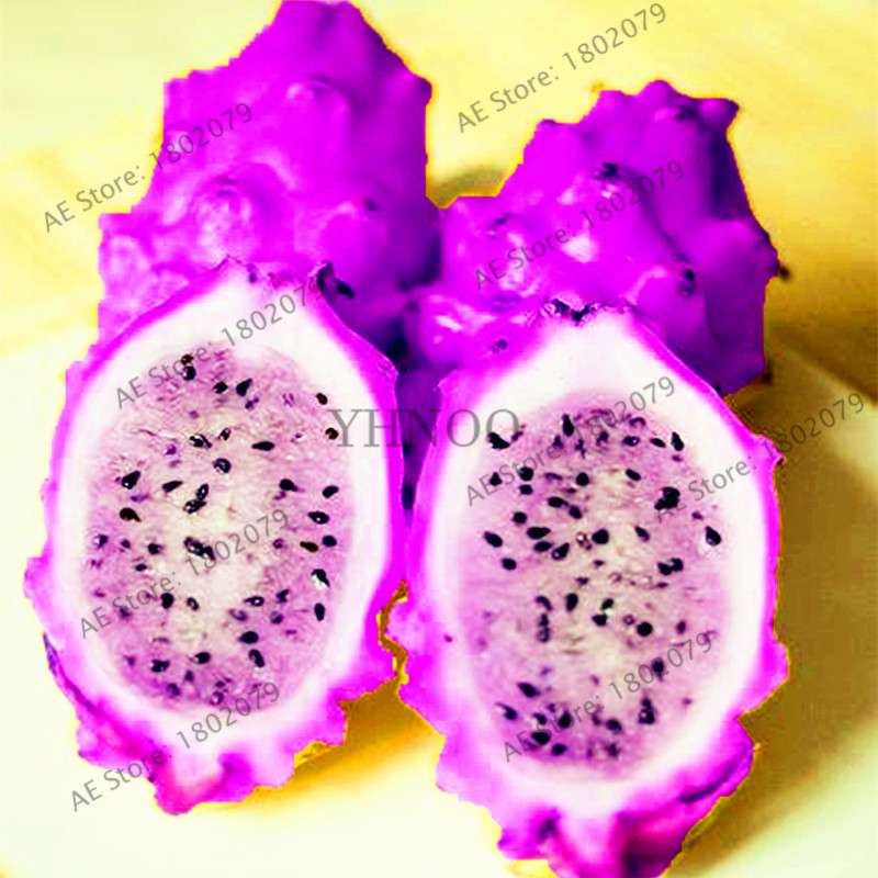 Sweet Dragon Fruit Seeds - Fresh Pitaya for Home Garden Planting | Delicious & Easy to Grow