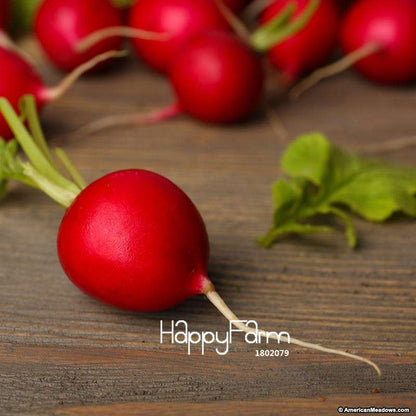 Cherry Belle Radish Seeds - Sweet, Delicious & Easy to Grow for Home Garden | Non-GMO, High Germination Rate