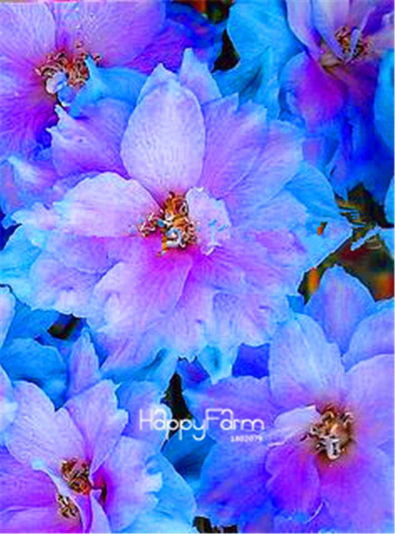 Rocket Larkspur Seeds - Easy-Grow Delphinium Flowers for Home Garden & DIY Potted Bonsai