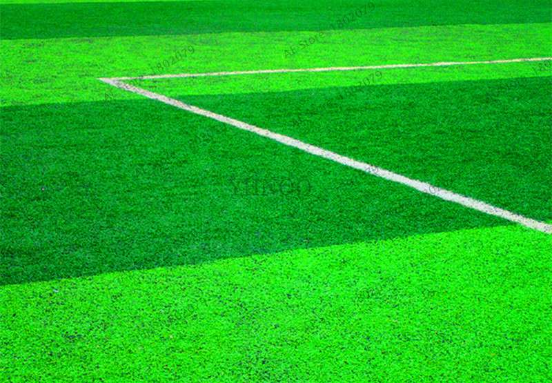 2025 Mixed Color Lawn Grass Seeds - Bag for Home & Garden | Fast-Growing, Vibrant Blends