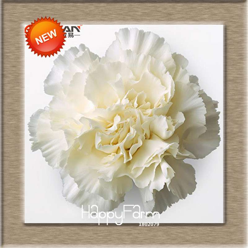16 Colors Dianthus Caryophyllus Flower Seeds, Balcony Potted Garden Plants, Carnation Seeds for Home & Courtyard