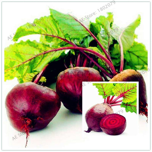 Beetroot Seeds - Non-GMO Heirloom, Bulk Beet Seeds for Home Garden, Bonsai & Planting | Fresh Beta Vulgaris