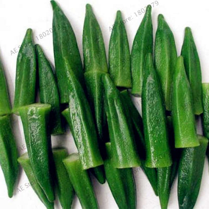 Organic Non-GMO Okra Seeds | Heirloom Vegetable Seeds for Kidney Health, Fun Countryside Gardening