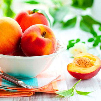 Sweet Peach Tree Seeds - Dwarf Bonanza Bonsai Fruit for Home Garden Planting