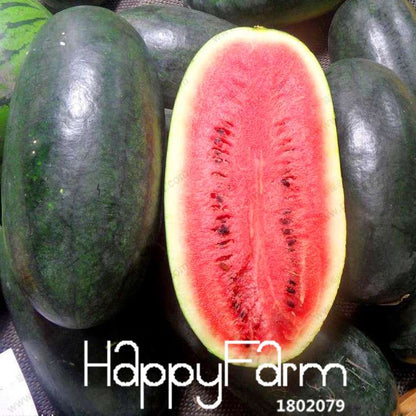 Giant Black Tyrant King Watermelon Seeds - Super Sweet for Home Gardening