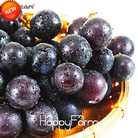 Sweet Kyoho Grape Seeds - Natural, Fast-Growing, Delicious Fruit Plants for Home Garden