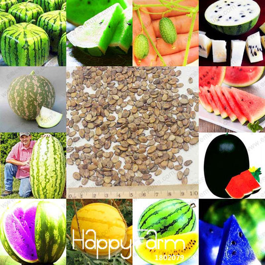 Rare Chinese Watermelon Seeds - Sweet Fruit Bonsai Plants, for Home Gardening