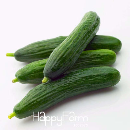 Fresh Cucumber Seeds for Planting - Non-GMO, Home Garden, Balcony & Bonsai | Fast-Growing Vegetable Seeds