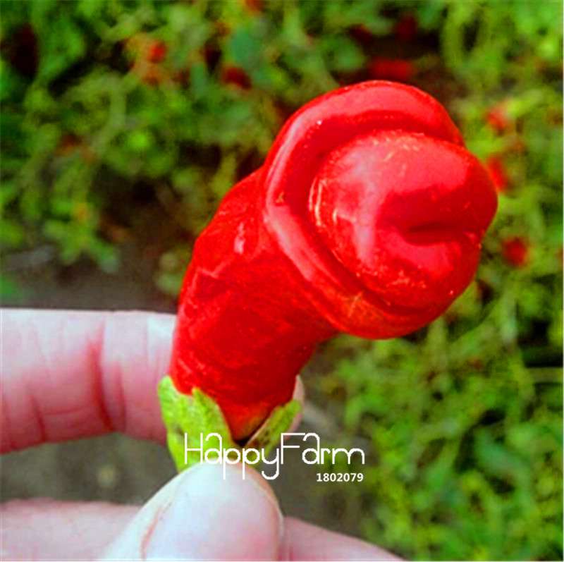16 Hot Chili Pepper Varieties, Non-GMO Vegetable Seeds for Home Garden & Happy Farm