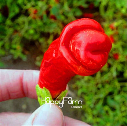 16 Hot Chili Pepper Varieties, Non-GMO Vegetable Seeds for Home Garden & Happy Farm