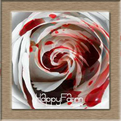 Premium White Black Edge Rose Seeds - for Home Garden & Balcony Planting | Rare Potted Rose Flowers