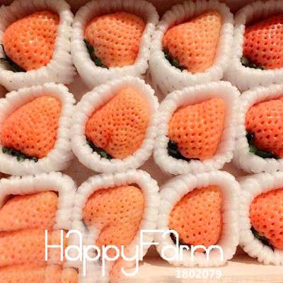 Pink Strawberry Seeds for Planting - Sweet Fruit, Home Garden, DIY Potted Plants (Indoor/Outdoor)