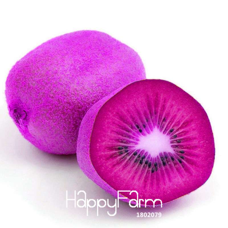 Purple Heart Kiwi Seeds - Sweet Home Garden Fruit Tree Bonsai - Non-GMO, Easy Grow