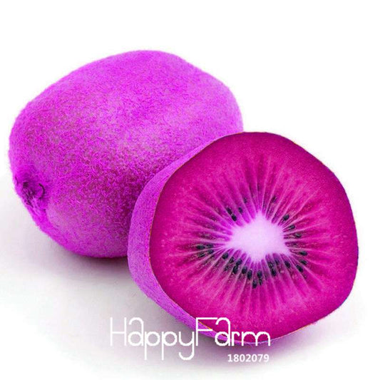 Purple Heart Kiwi Seeds - Sweet Home Garden Fruit Tree Bonsai - Non-GMO, Easy Grow