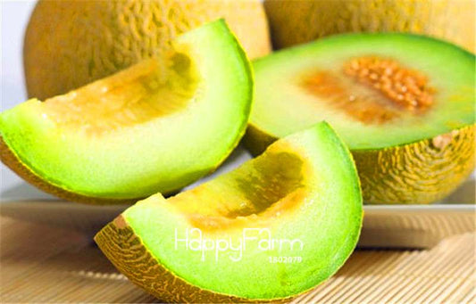 Organic Sweet Melon Seeds | Non-GMO, Heirloom Fruit Seeds for Planting