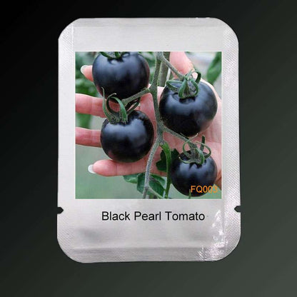 Black Pearl Tomato Seeds - Non-GMO, Heirloom, Balcony & Bonsai Potted Plant for Home Gardening - USA Shipping