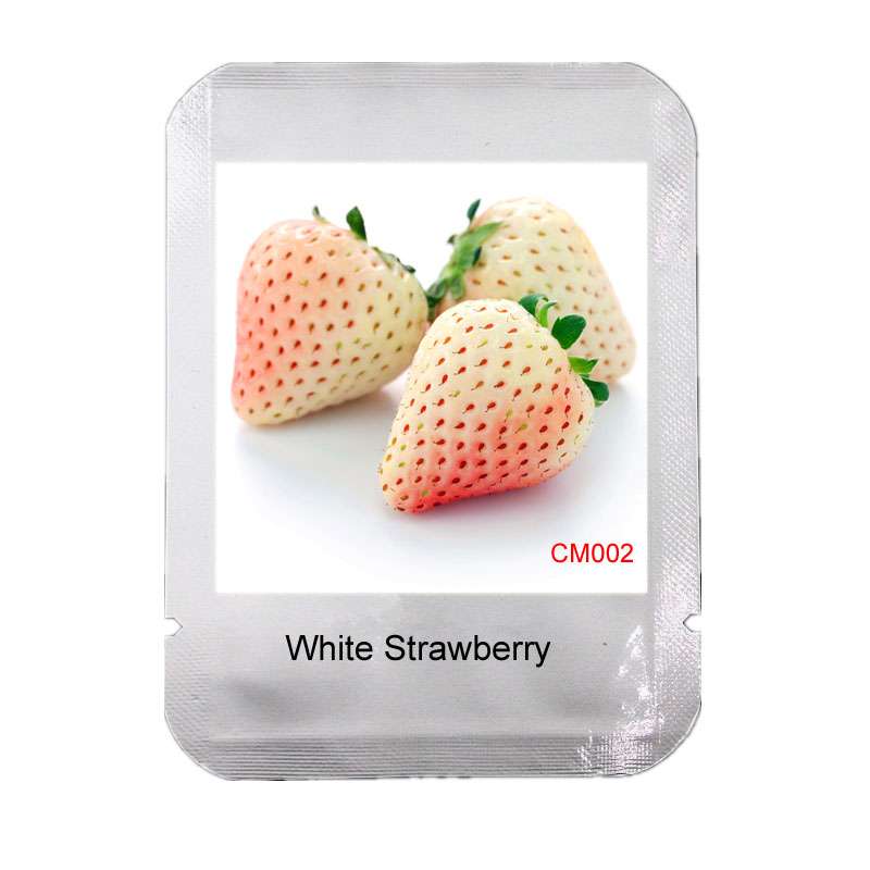 Rare White Strawberry Seeds - Sweet Home Garden Fruit, Year-Round Planting, Non-GMO