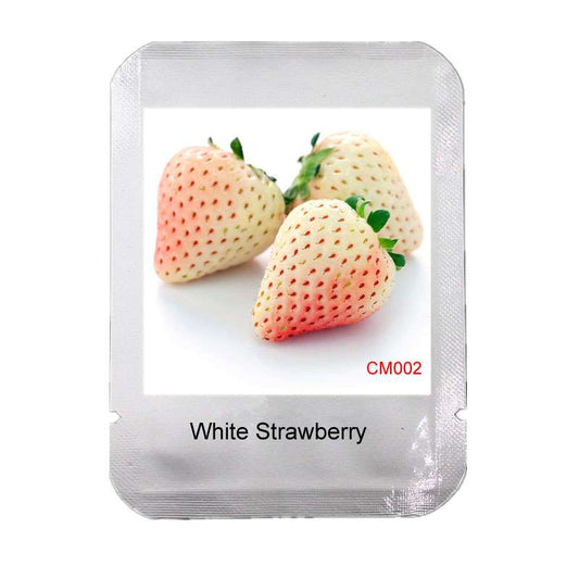 Rare White Strawberry Seeds - Sweet Home Garden Fruit, Year-Round Planting, Non-GMO