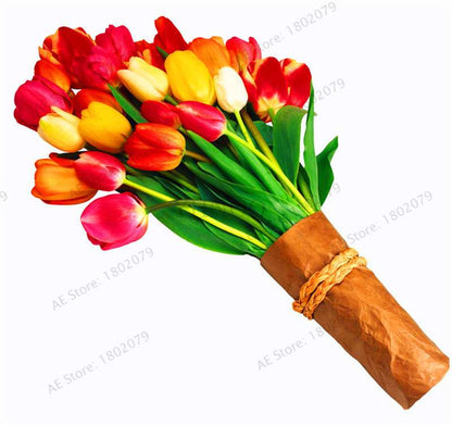 Rare Tulip Seeds - Beautiful Perennial Bonsai Flowers for Home & Garden Planting