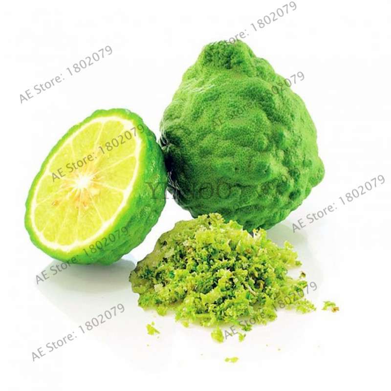 Key Lime Seeds, Delicious Potted Organic Fruit Seeds,(Citrus Aurantifolia) , Fruit Lemon Tree For Home Garden