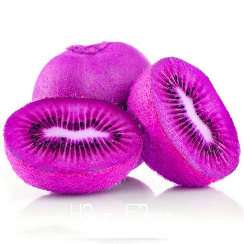 Purple Heart Kiwi Seeds - Sweet Home Garden Fruit Tree Bonsai - Non-GMO, Easy Grow