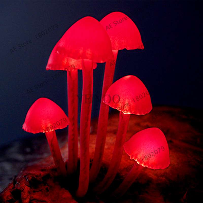 Edible Mushroom Seeds for Planting - Organic Healthy Succulent Vegetable Seeds for Happy Farm & Home Garden