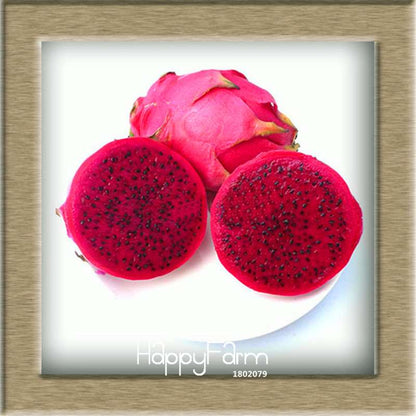Non-GMO Dragon Fruit Seeds for Planting - Sweet Pitaya Bonsai Tree, - Fresh Hylocereus Fruit