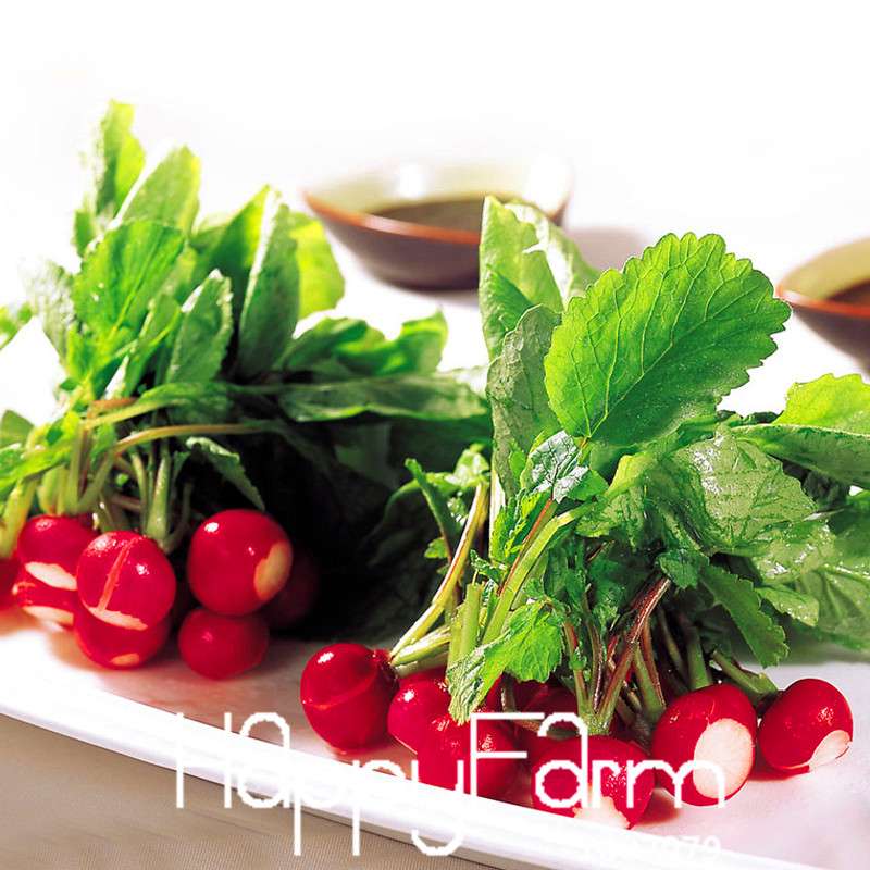 Organic Cherry Radish Seeds - for Balcony, Potted Planting, Fresh Green Veggies | Non-GMO