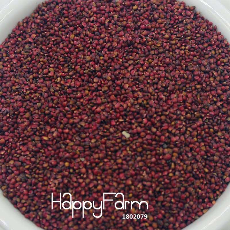 Japanese Hokowase Strawberry Seeds for Planting - Sweet Indoor/Outdoor Fruit Garden (Non-GMO, High Yield)