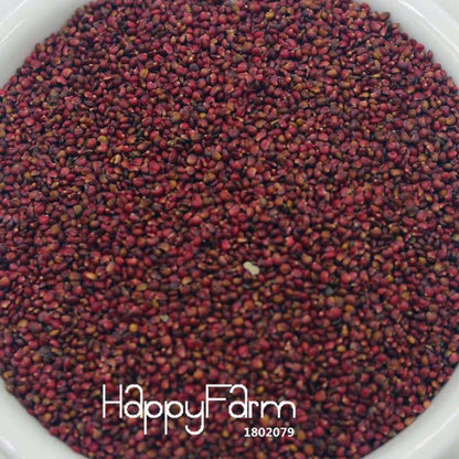 Japanese Hokowase Strawberry Seeds for Planting - Sweet Indoor/Outdoor Fruit Garden (Non-GMO, High Yield)