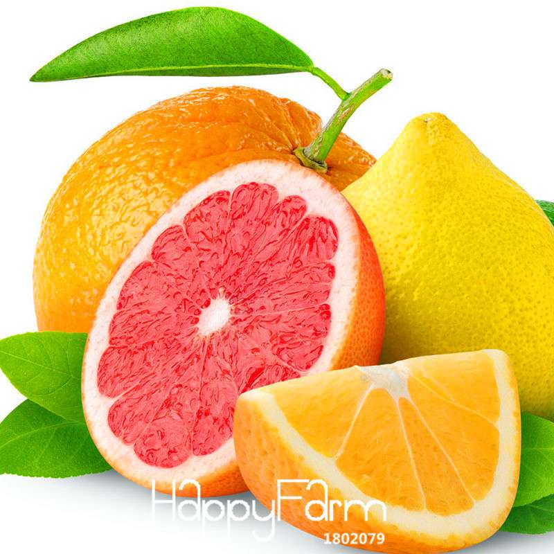 Lemon Seeds for Planting - Non-GMO Red Heart Citrus limon, Fruit Garden, Potted Bonsai, Indoor/Outdoor