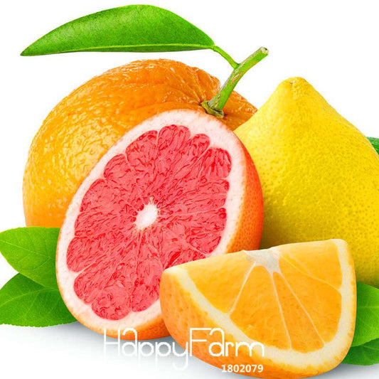 Lemon Seeds for Planting - Non-GMO Red Heart Citrus limon, Fruit Garden, Potted Bonsai, Indoor/Outdoor