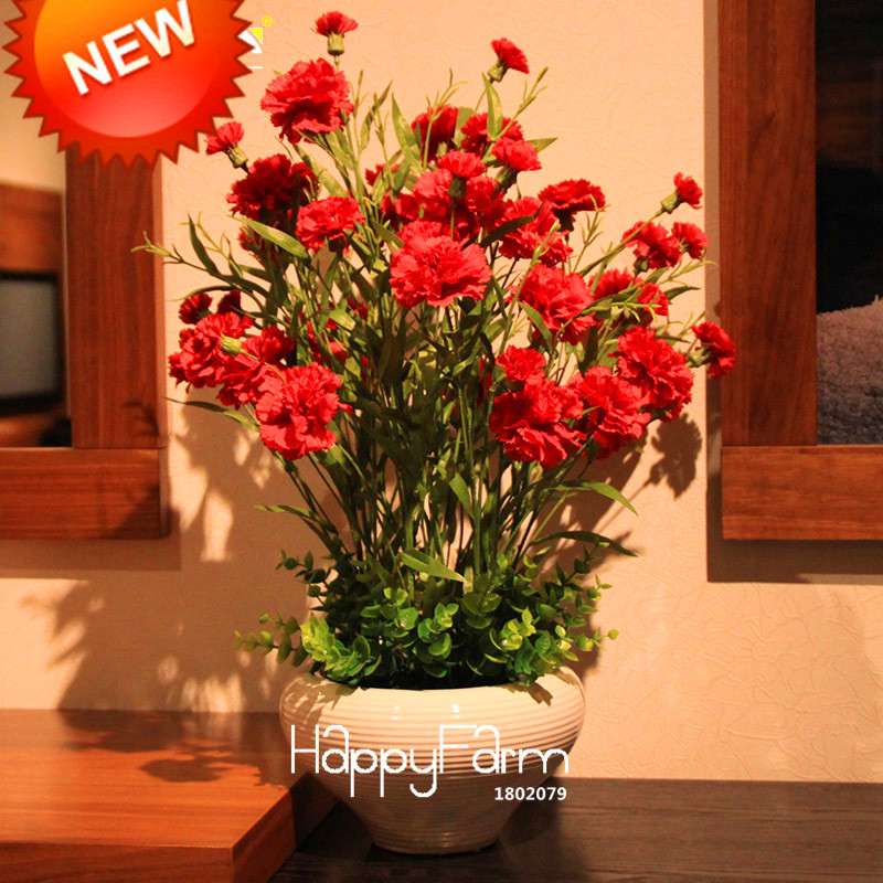 Big Red Carnation Seeds - for Balcony, Potted & Garden - Dianthus Caryophyllus Flowers