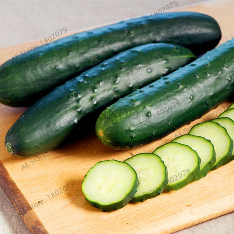 Organic Japanese Mini Cucumber Seeds - Fresh, Non-GMO for Home Garden & Bonsai Planting