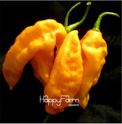 16 Hot Chili Pepper Varieties, Non-GMO Vegetable Seeds for Home Garden & Happy Farm