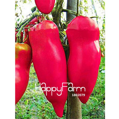 Rainbow Tomato Seeds - Organic Bonsai Veggie & Fruit Seeds for Home Garden, Non-GMO, Easy Grow