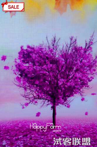 Rare Purple Maple Bonsai Seeds for Home & Garden - Exotic Decorative Plants