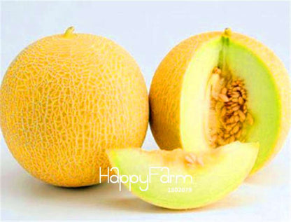 Organic Sweet Melon Seeds | Non-GMO, Heirloom Fruit Seeds for Planting