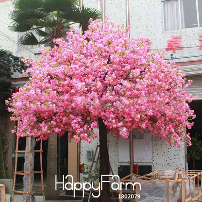 Red Japanese Cherry Blossom Seeds - Sakura Bonsai Tree Mix for Garden & Courtyard