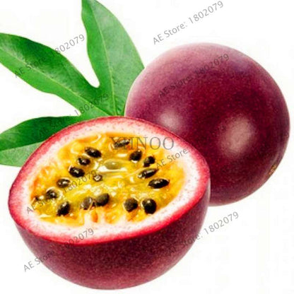 Organic Passion Fruit Seeds (Passiflora edulis) - Rare Tropical Fruit Tree Seeds for Home Planting