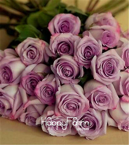 Sterling Silver Rose Seeds - Romantic DIY Gift for Garden Lovers, Home Decor, Bonsai & Flower Planting