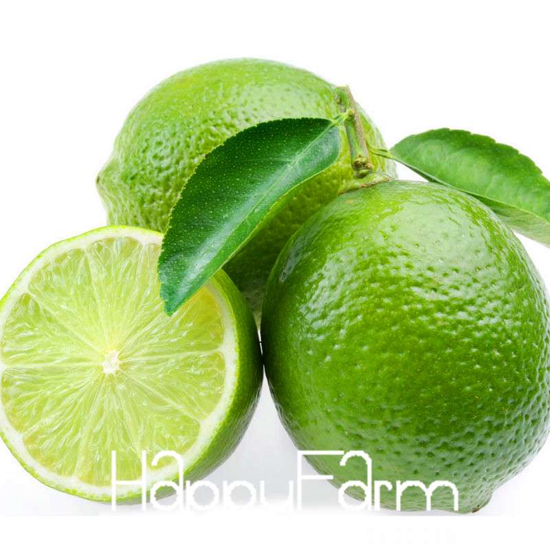 Green Lemon Seeds for Planting - Fresh Fruit, Garden & Bonsai Tree Seeds