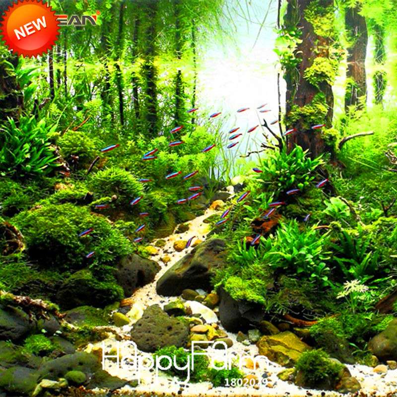 Aquarium Grass Seeds - Random Aquatic Plants for Indoor Tank Beautification | Fast-Growing Water Grass