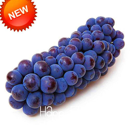 Black Grape Seeds - Non-GMO, High Germination Rate - Perfect for Home Gardening & Fresh Fruit