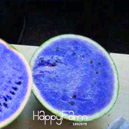 Blue Flesh Watermelon Seeds - Sweet, Non-GMO, Edible Fruit for Bonsai & Home Gardening